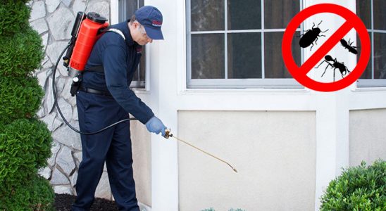 Zile Böcek İlaçlama böcek ilaçlama ve haşere kontrolü — ilaclama-tr.com